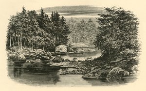 Escena del río, Langdale, c1890 de Unbekannt