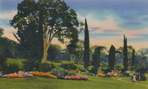 Jardín de rocas, Trinidad, B.W.I., c1940s