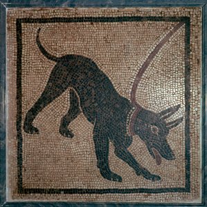 Mosaico romano de un perro, siglo I de Unbekannt