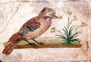Pintura mural romana de Jay de Boscoreale cerca de Pompeya, siglo I