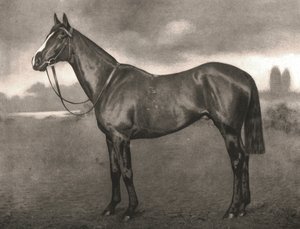 Ross, 1911 de Unbekannt