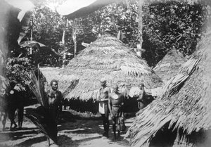 Casas redondas de nativos en Timotu, Santa Cruz, 1892 de Unbekannt
