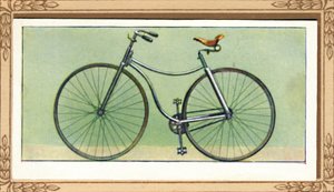 Bicicleta de seguridad Rover