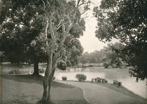 Lagos Reales, Rangún, 1900