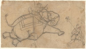 Elefante corriendo (recto), Hoja de práctica de bocetos de elefantes (verso) de Unbekannt