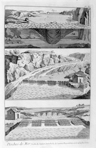 Pesca de salmón, 1751-1777 de Unbekannt
