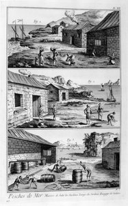 Salado, lavado, empaquetado de sardinas, 1751-1777 de Unbekannt