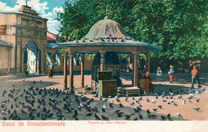 Salut de Constantinopla - Palomas en el patio de Eyoub de Unbekannt