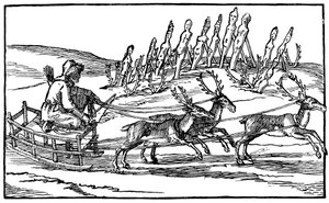 Samoyedo viajando en un trineo tirado por renos, finales del siglo XVI-principios del siglo XVII