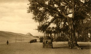 Saqqara - La Pirámide Escalonada vista desde el Sicomoro, c. 1918-c. 1939 de Unbekannt
