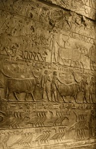 Saqqara - Tumba de Ptahotep - Decoración mural, c1918-c1939