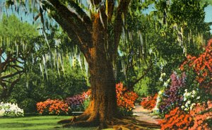 Escena en Magnolia Gardens, cerca de Charleston, S.C., 1942 de Unbekannt
