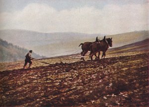 Escocia, c1930s de Unbekannt