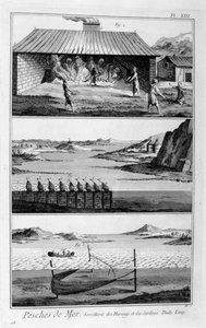 Pesca en el mar, arenques y sardinas, 1751-1777 de Unbekannt
