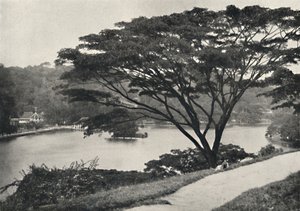 Lago, Templo del Diente Sagrado y Biblioteca en Kandy, visto desde el Victoria-Drive hacia el este, 192 de Unbekannt