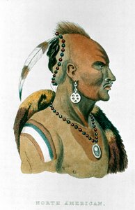 Sewessissing, jefe de los indios Iowa de Unbekannt