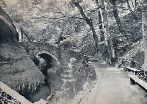 Shanklin - El Barranco, 1895 de Unbekannt