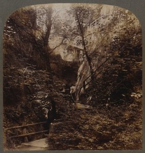 Shanklin Chine de fama mundial, Isla de Wight, Inglaterra, c1910 de Unbekannt