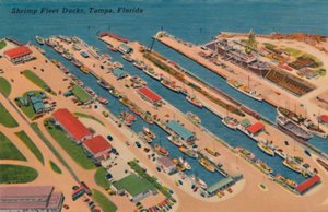 Muelles de la Flota de Camarones, Tampa, Florida, 1940s