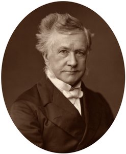 Sir Robert Lush, Juez del Tribunal Superior de Justicia, 1881 de Unbekannt