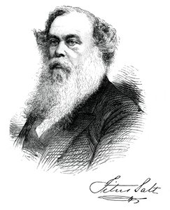 Sir Titus Salt, fabricante y benefactor británico, c1880 de Unbekannt