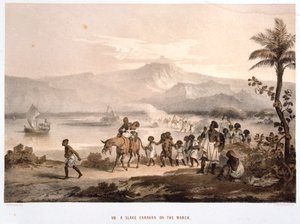 Convoy de esclavos en marcha, 1852