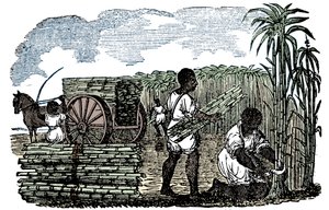 Esclavos cosechando caña de azúcar en Luisiana, 1833 de Unbekannt