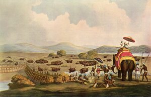 Deporte en India - Conduciendo elefantes a un Keddah, c1808, 1901 de Unbekannt