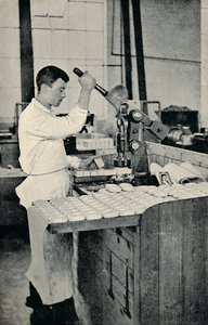 Bloques de jabón estampados, c1917 de Unbekannt