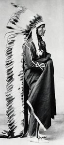 Oso de Pie, Jefe de los Sioux Dakota, Indios de las Llanuras de América del Norte, c1885-c1890 de Unbekannt