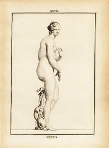 Estatua de Venus, diosa romana del amor, la belleza, el sexo y la fertilidad de Unbekannt