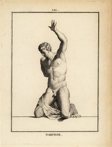 Estatua del hermoso cazador Narciso, de la mitología griega de Unbekannt