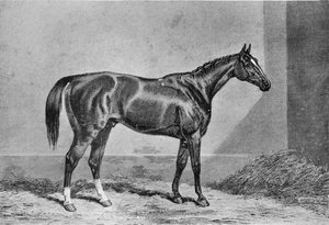 Stockwell, 1849-1871 de Unbekannt