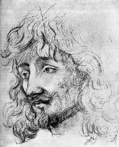 Estudio de una cabeza, siglo XVII de Unbekannt
