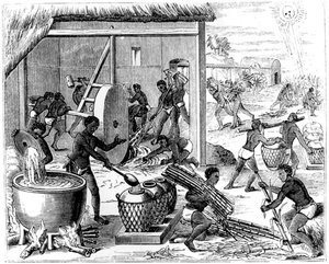 Producción de azúcar, 1873 de Unbekannt