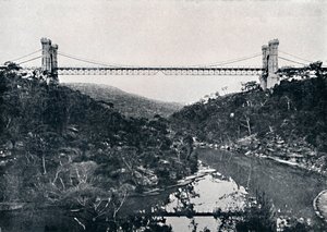 Puente colgante, Middle Harbour, c1900 de Unbekannt