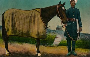 Syce, c1910 de Unbekannt