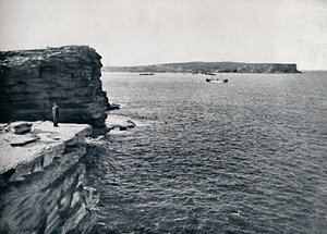 Cabezas de Sídney, en el Gap en Watsons Bay, c1900 de Unbekannt