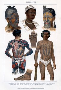 Tatuaje, 1800-1900 de Unbekannt