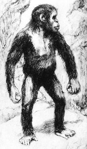 El Hombre Mono de Taungs
