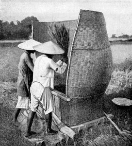 El modo anamita de cosechar y trillar arroz, Annam, Vietnam, 1922 de Unbekannt