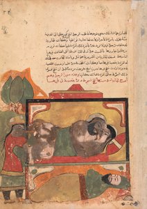 El asceta presencia a la mujer intentando envenenar al amante, Folio de un Kalila..., siglo XVIII de Unbekannt