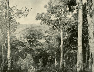 Las Montañas Azules, 1901