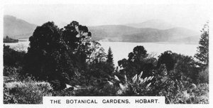 Los Jardines Botánicos, Hobart, Tasmania, 1928 de Unbekannt