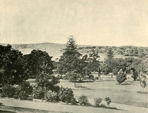 Los Jardines Botánicos de Sídney, 1901 de Unbekannt