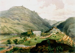 The Briars, St Helena, principios del siglo XIX, 1851 de Unbekannt