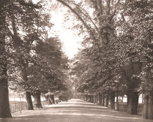 The Broad Walk, Oxford, 1894 de Unbekannt