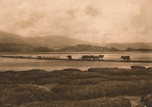 El Dovey en Ynyslas, 1902 de Unbekannt