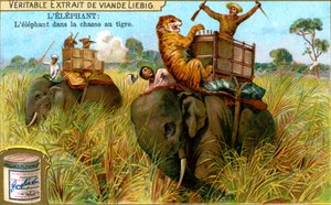 El elefante en una cacería de tigres, c1900 de Unbekannt