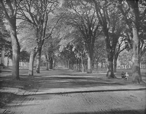 Los Olmos, New Haven, Conn., c. 1897 de Unbekannt